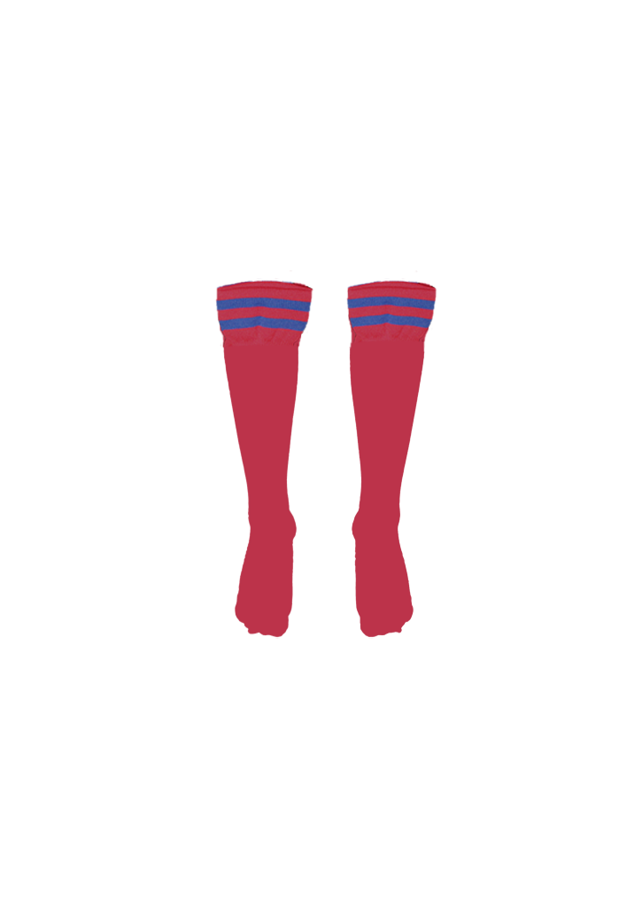 Newlands College Rugby Sock Red/Royal